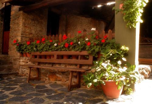 Agroturismo Casa Mario