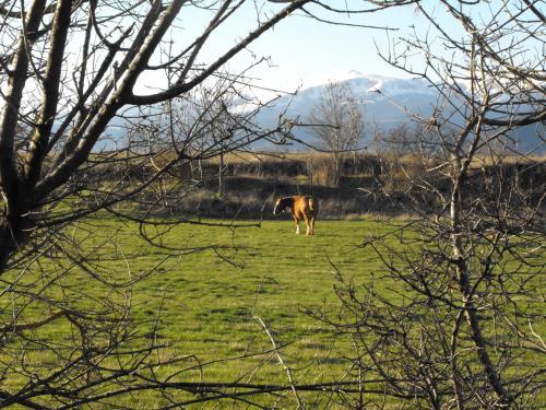 Agroturismo Cal Trisca