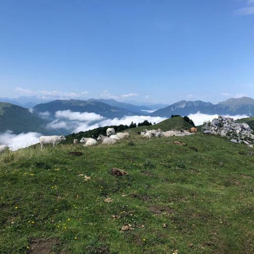Bed & Breakfast Le Balcon Commingeois