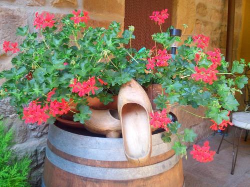 Agroturismo El Cuartelillo Viejo