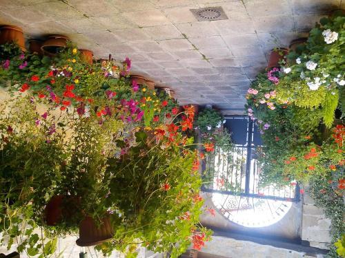 Agroturismo El Cuartelillo Viejo