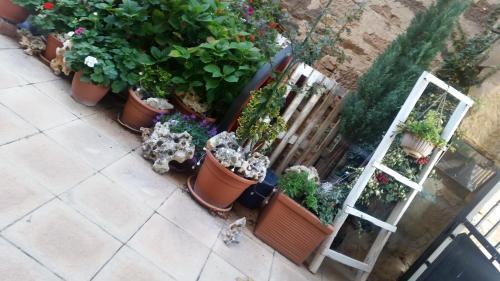 Agroturismo El Cuartelillo Viejo