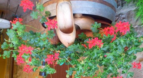Agroturismo El Cuartelillo Viejo