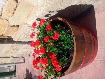 Agroturismo El Cuartelillo Viejo