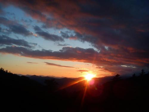 Hotel H�tel Les Chamois