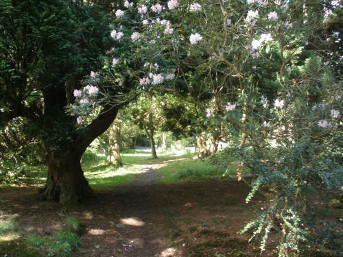 Agroturismo Lastingham Grange