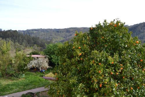 Agroturismo Casa Pousadoira
