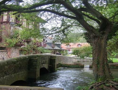 Bed & Breakfast Le Moulin Fleuri Du Petit Appeville