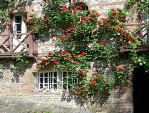 Bed & Breakfast Le Moulin Fleuri Du Petit Appeville