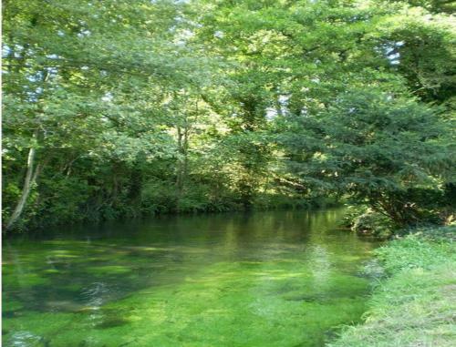 Bed & Breakfast Le Moulin Fleuri Du Petit Appeville
