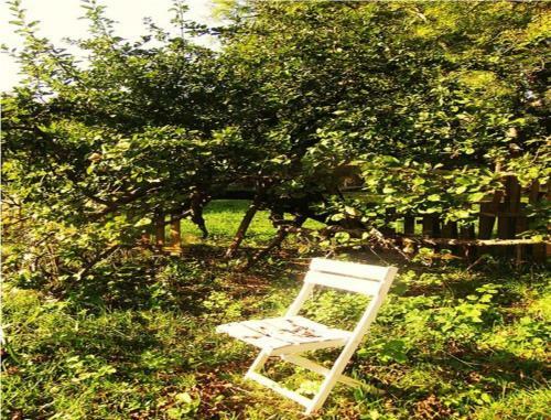 Bed & Breakfast Le Moulin Fleuri Du Petit Appeville