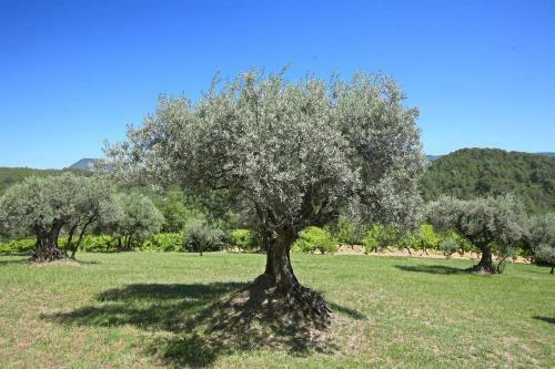 Holiday Home Gite De Marie