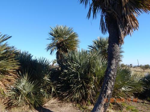 Agroturismo La Palmita