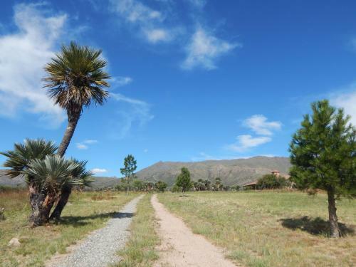 Agroturismo La Palmita