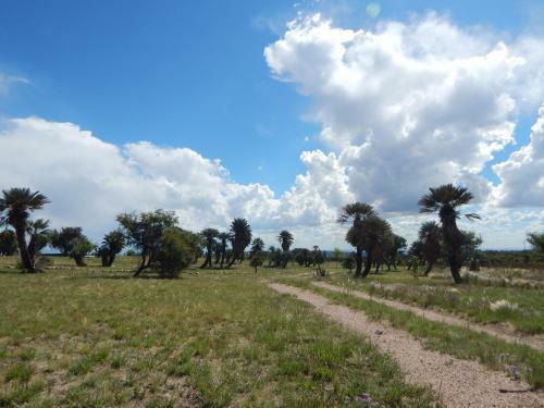 Agroturismo La Palmita