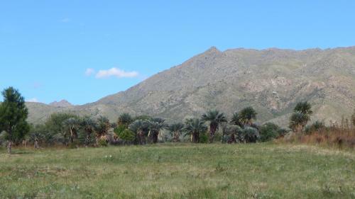 Agroturismo La Palmita