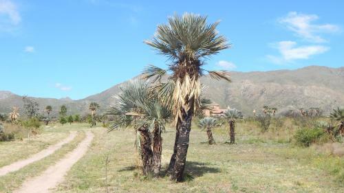 Agroturismo La Palmita