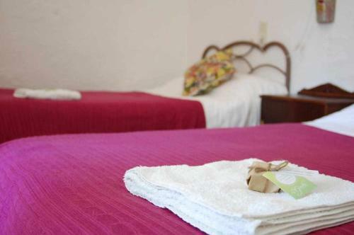 Agroturismo Cortijo La Gineta
