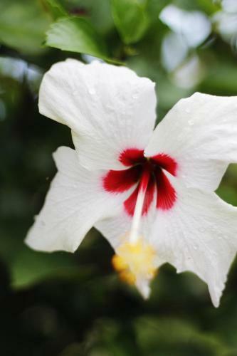 Agroturismo Caba�as Praba