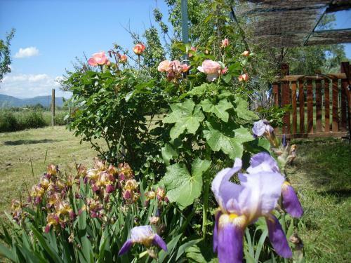Apartamento G�te Harmony
