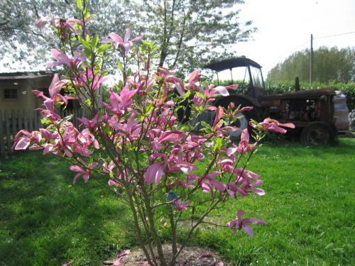 B&B Hoeve Ransberg