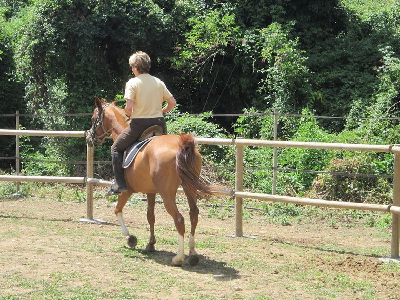 Agroturismo Casa Horta