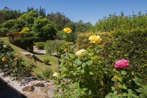 Agroturismo Casa Pi�eiro