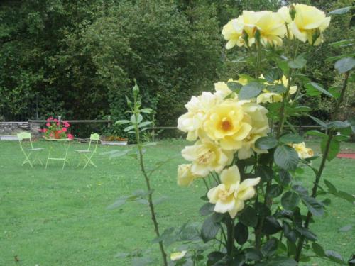 Agroturismo Caser�o Maribel