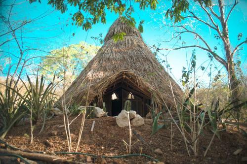 Dreamsea Glamping