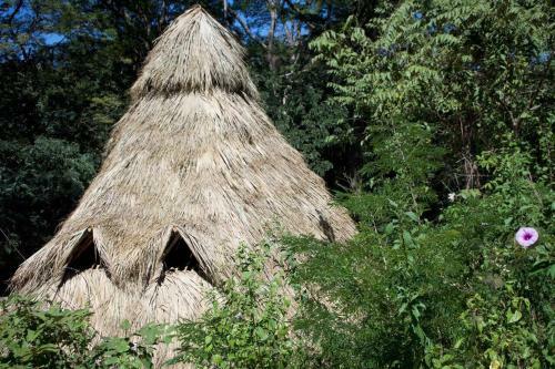 Dreamsea Glamping