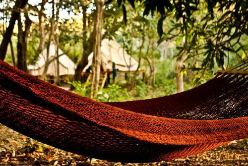 Dreamsea Glamping