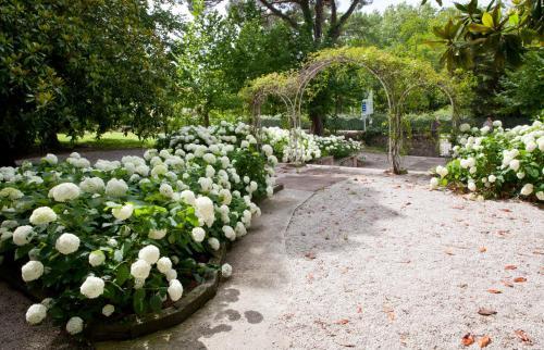 Agroturismo Apartamentos Rolisas