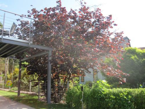 Apartment Haus Sembachtal