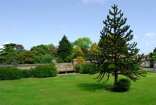Agroturismo Dunsley Hall Country House Hotel
