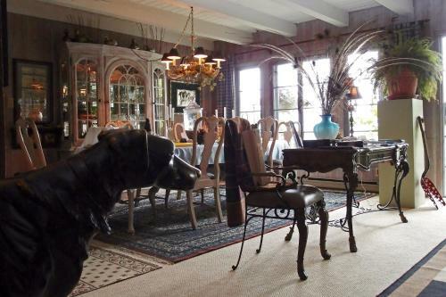 Bed & Breakfast Le Petit Clocher Gite Touristique B & B