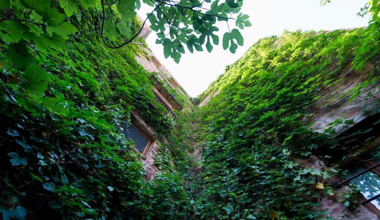 Agroturismo El Jard�n Vertical
