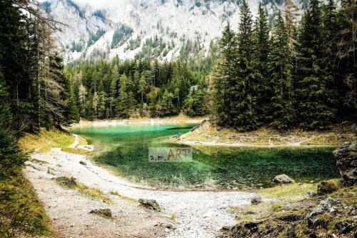 Art-rooms-g�stezimmer