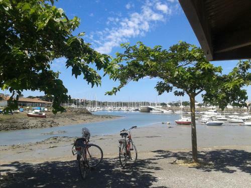 Bed & Breakfast Ch�teau De La Marronni�re