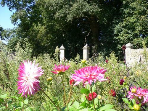 Bed & Breakfast Ch�teau De La Marronni�re