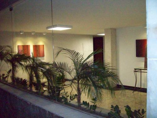 Apartamento Do Escultor