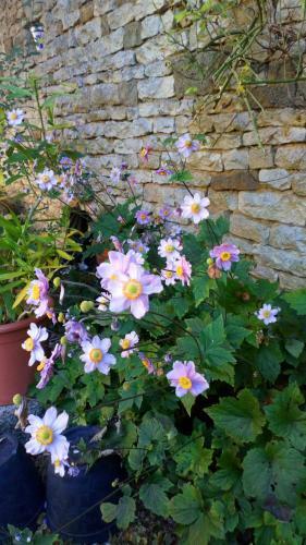 Bed & Breakfast La Vall�e Verte