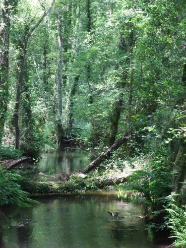 Agroturismo Pazo Da Cruz