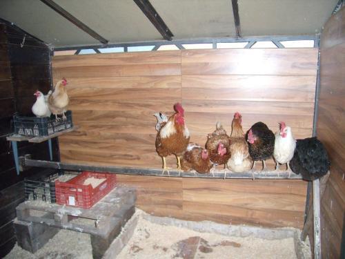 Agroturismo Hostal Rural Basajarau