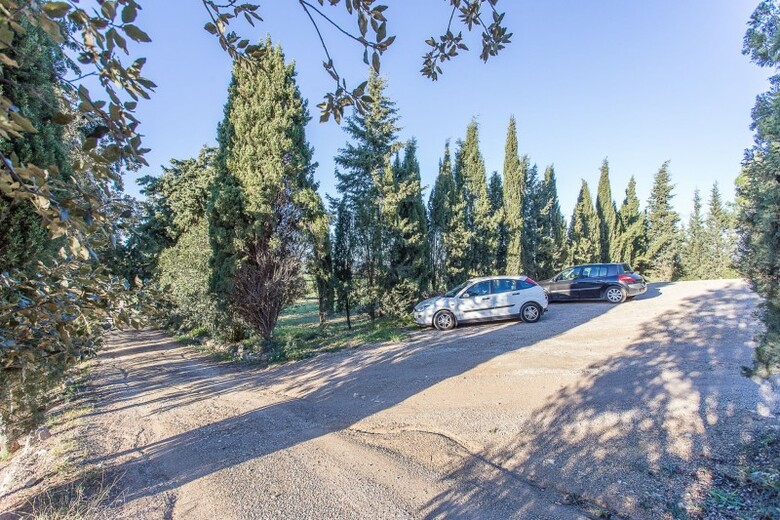 Agroturismo Son Foguer�