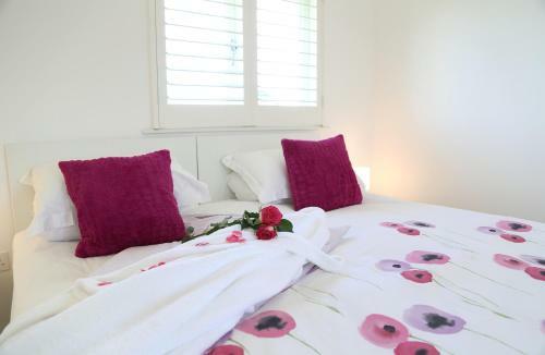 Bed & Breakfast Spire Cottage