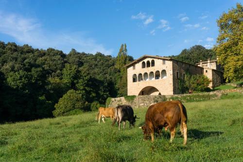 Agroturismo Casa Rural El Call�s