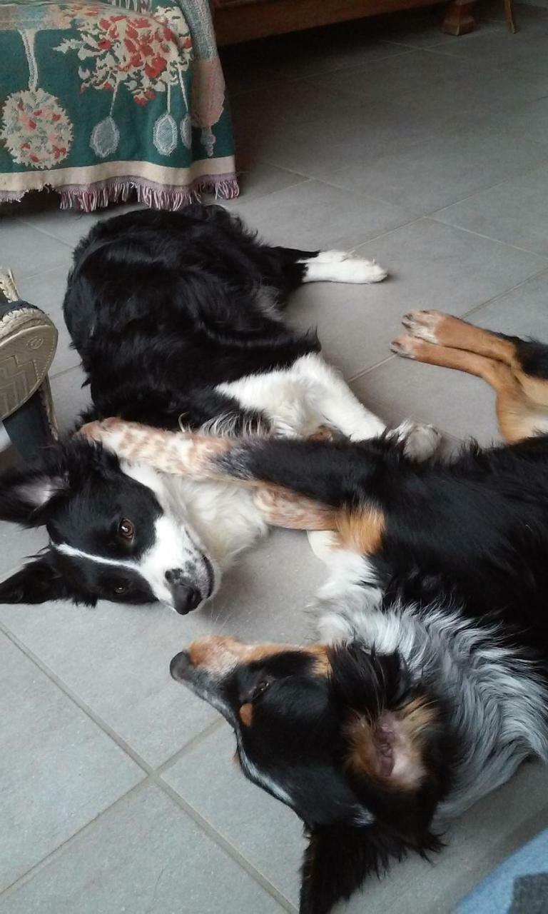 Bed & Breakfast Le Jardin De La Reyssouze