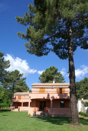 Pinea Mare