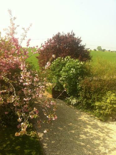 Agroturismo Whitchurch Farm B&B