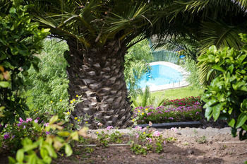 Bed & Breakfast Finca Los Geranios